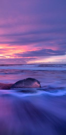 sea, sunset, waves Wallpaper 1440x2960