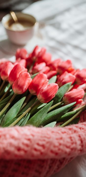 bouquet of tulips, flowers Wallpaper 1080x2220
