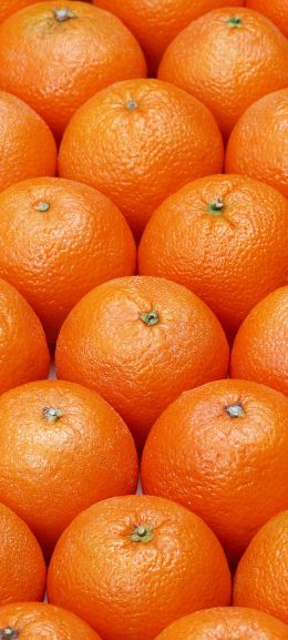 Обои 720x1600 апельсин, фрукт, оранжевые обои