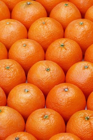 orange, fruit, orange wallpaper Wallpaper 640x960
