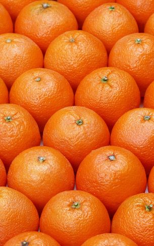 Обои 800x1280 апельсин, фрукт, оранжевые обои