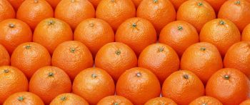 Обои 2560x1080 апельсин, фрукт, оранжевые обои
