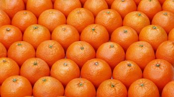 Обои 1600x900 апельсин, фрукт, оранжевые обои