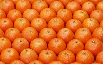 Обои 2560x1600 апельсин, фрукт, оранжевые обои