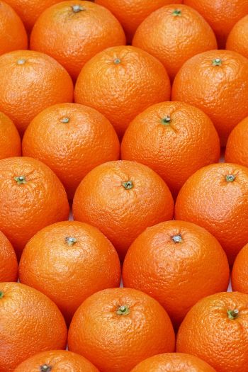 Обои 640x960 апельсин, фрукт, оранжевые обои
