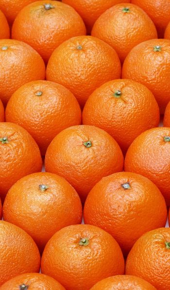 Обои 600x1024 апельсин, фрукт, оранжевые обои