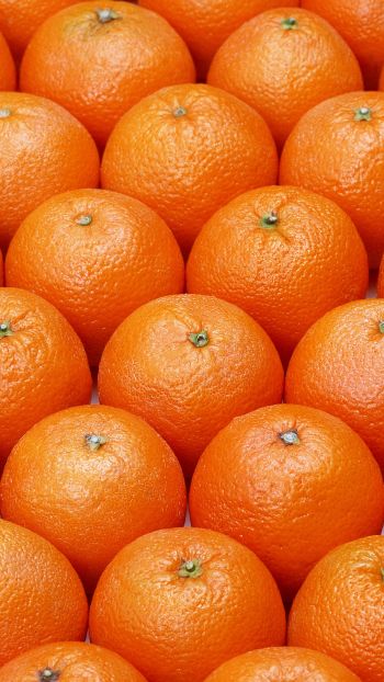 Обои 750x1334 апельсин, фрукт, оранжевые обои