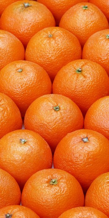 Обои 720x1440 апельсин, фрукт, оранжевые обои