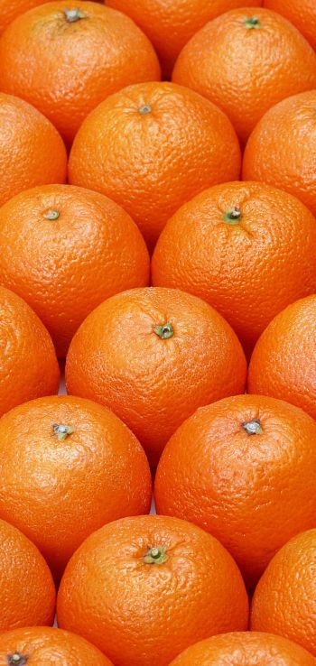 Обои 720x1520 апельсин, фрукт, оранжевые обои