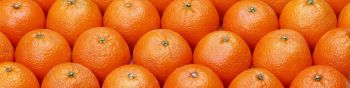 Обои 1590x400 апельсин, фрукт, оранжевые обои