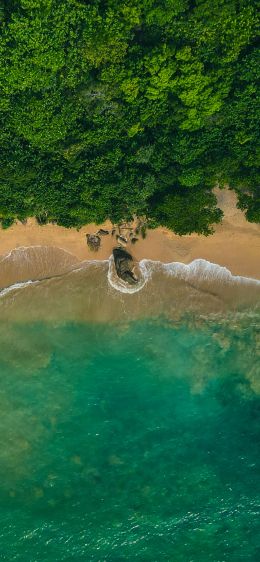 Rumassala, Unavatuna, Sri Lanka Wallpaper 828x1792