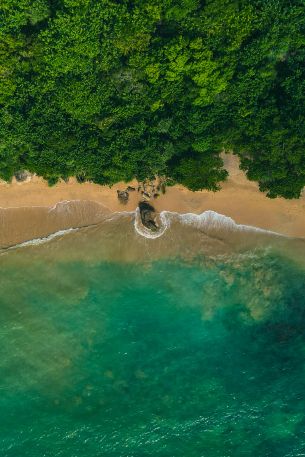 Rumassala, Unavatuna, Sri Lanka Wallpaper 640x960