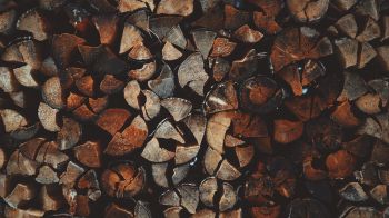 firewood, wood Wallpaper 1366x768