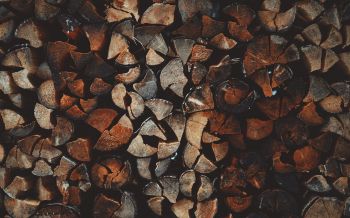firewood, wood Wallpaper 2560x1600