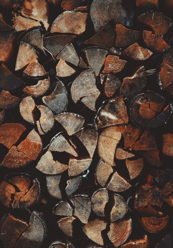 firewood, wood Wallpaper 1668x2388
