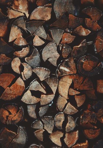 firewood, wood Wallpaper 1640x2360