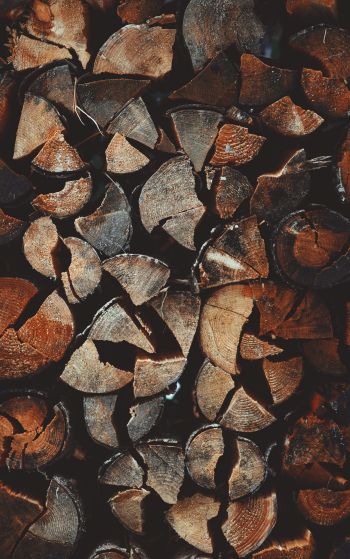 firewood, wood Wallpaper 1752x2800