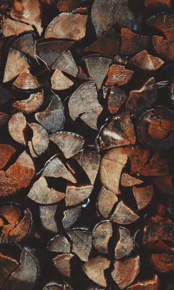 firewood, wood Wallpaper 1200x2000