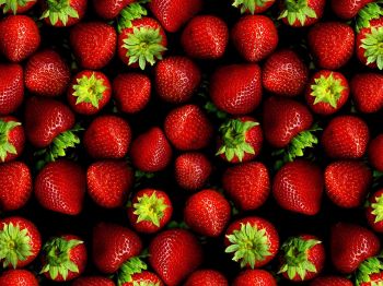 strawberry, berry Wallpaper 800x600
