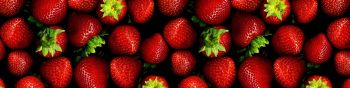 strawberry, berry Wallpaper 1590x400