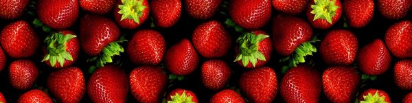 strawberry, berry Wallpaper 1590x400