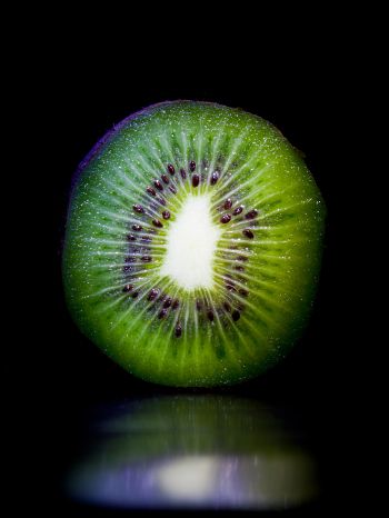 kiwi, fruit Wallpaper 1536x2048