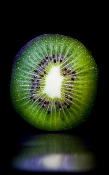 kiwi, fruit Wallpaper 1200x1920