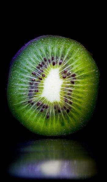 kiwi, fruit Wallpaper 600x1024