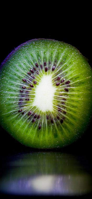 kiwi, fruit Wallpaper 1125x2436