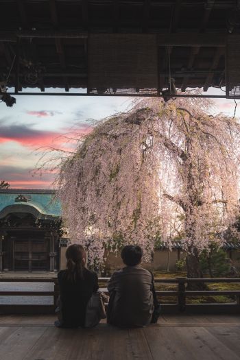 Kyoto, Japan, people Wallpaper 640x960