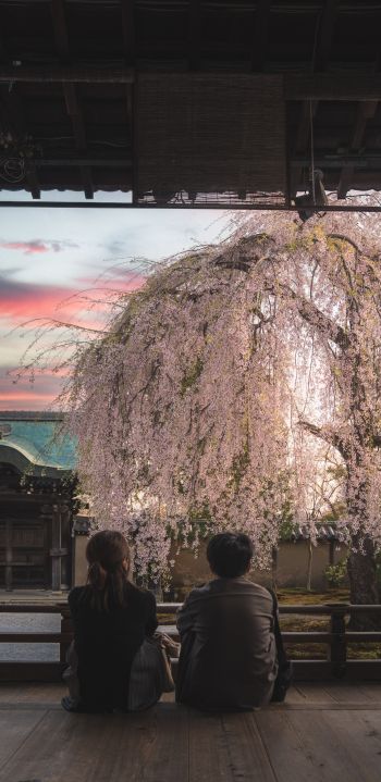 Kyoto, Japan, people Wallpaper 1080x2220
