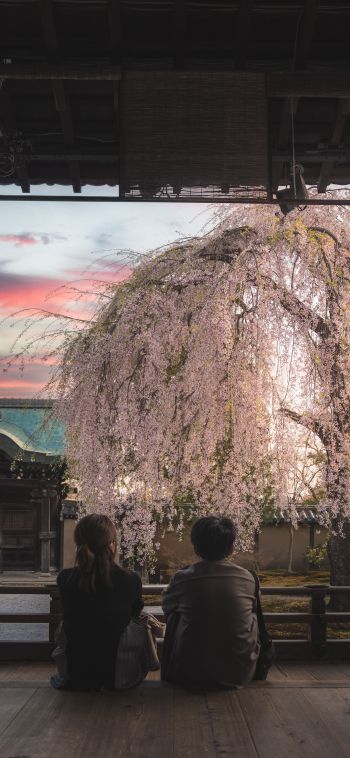 Kyoto, Japan, people Wallpaper 1080x2340