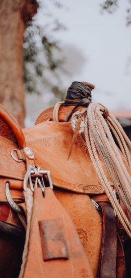 whip, cowboy saddle Wallpaper 1440x3040