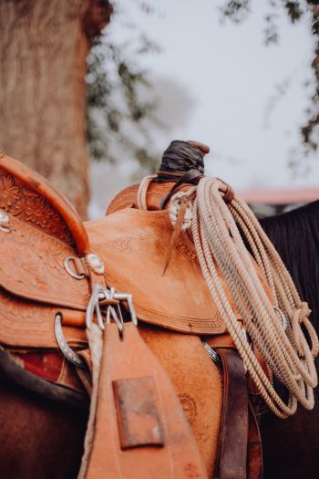 whip, cowboy saddle Wallpaper 640x960