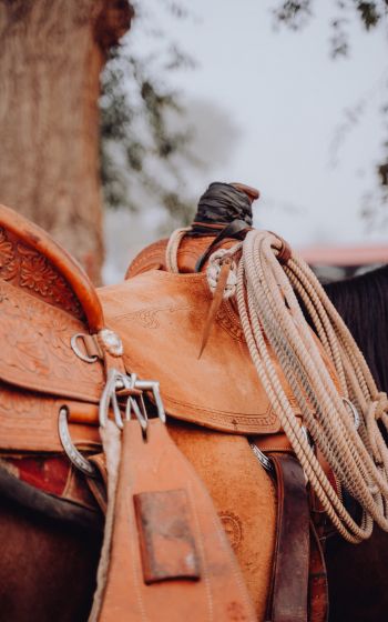 whip, cowboy saddle Wallpaper 1600x2560