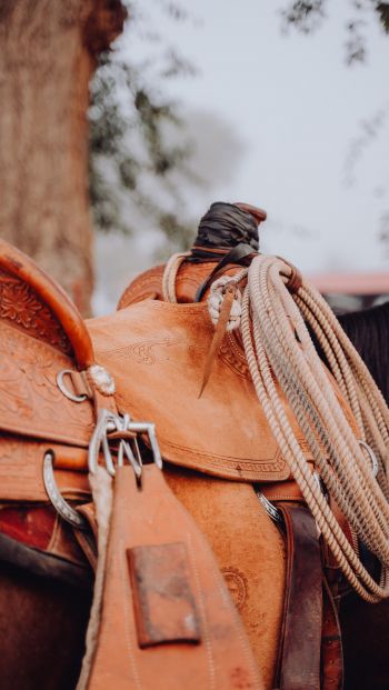 whip, cowboy saddle Wallpaper 640x1136
