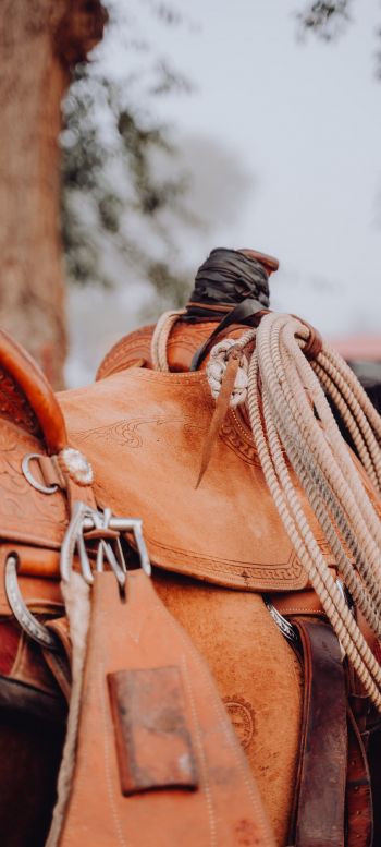 whip, cowboy saddle Wallpaper 1440x3200