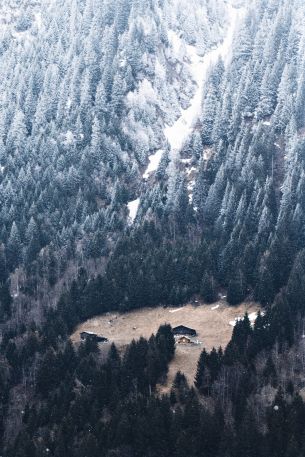 mountain, descent, house in the gars Wallpaper 640x960