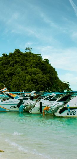 Crabs, Thailand Wallpaper 1080x2220