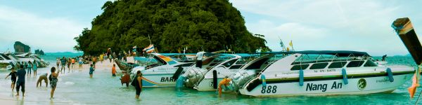 Crabs, Thailand Wallpaper 1590x400