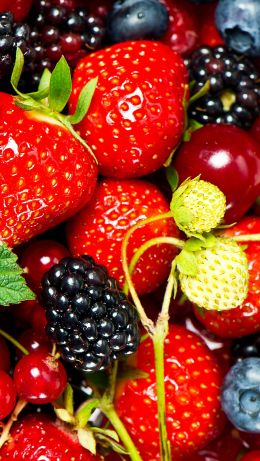 strawberry, blackberry, berry Wallpaper 640x1136