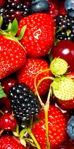 strawberry, blackberry, berry Wallpaper 720x1440