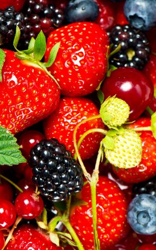 strawberry, blackberry, berry Wallpaper 800x1280