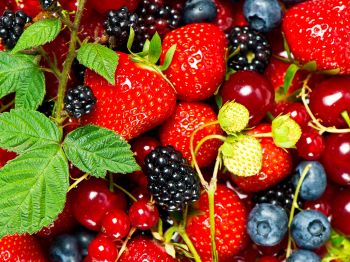 strawberry, blackberry, berry Wallpaper 800x600
