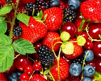 strawberry, blackberry, berry Wallpaper 1280x1024
