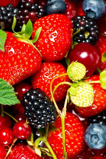 strawberry, blackberry, berry Wallpaper 640x960