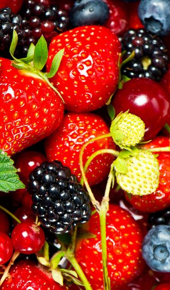 strawberry, blackberry, berry Wallpaper 600x1024