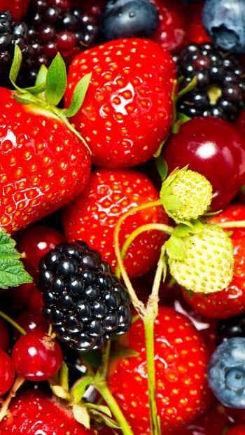 strawberry, blackberry, berry Wallpaper 640x1136