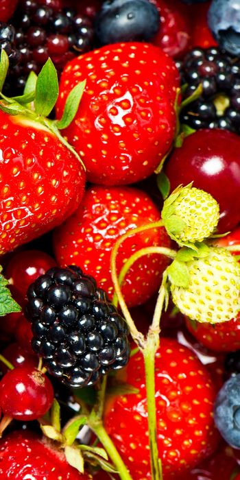 strawberry, blackberry, berry Wallpaper 720x1440