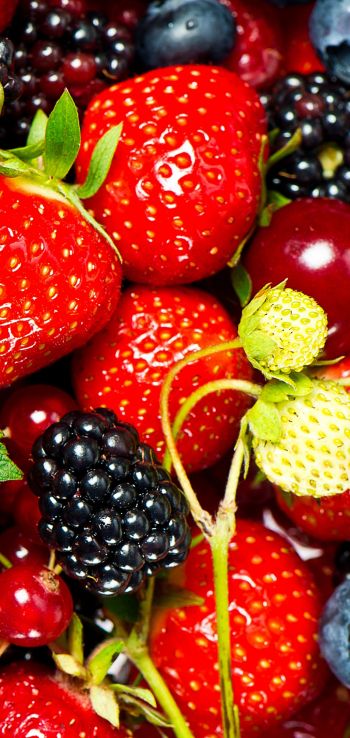 strawberry, blackberry, berry Wallpaper 720x1520